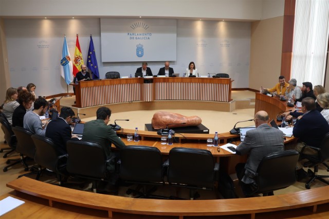 Acordos da Comisión 4ª, Educación e Cultura, celebrada o 14 de xuño de 2024